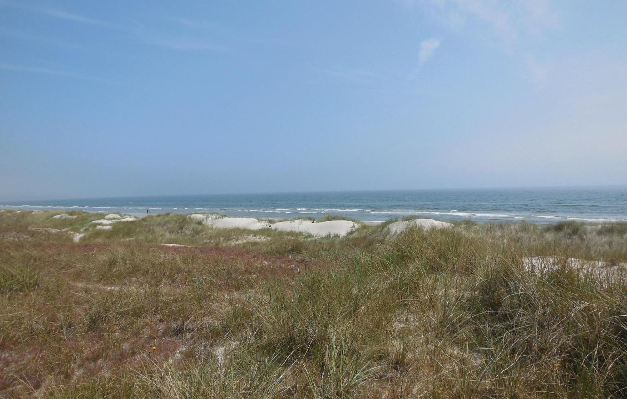Gorgeous Home In Borrby With Wifi Eksteriør bilde